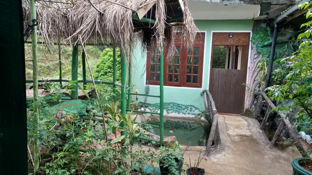 Green House Nallathanniya Εξωτερικό φωτογραφία